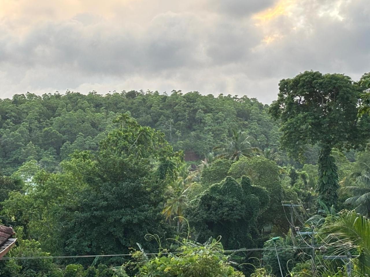 Mountain Edge अपार्टमेंट Unawatuna